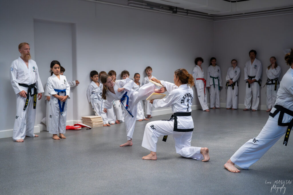Remise de ceintures et démonstration – Juin 2026 — photo 13