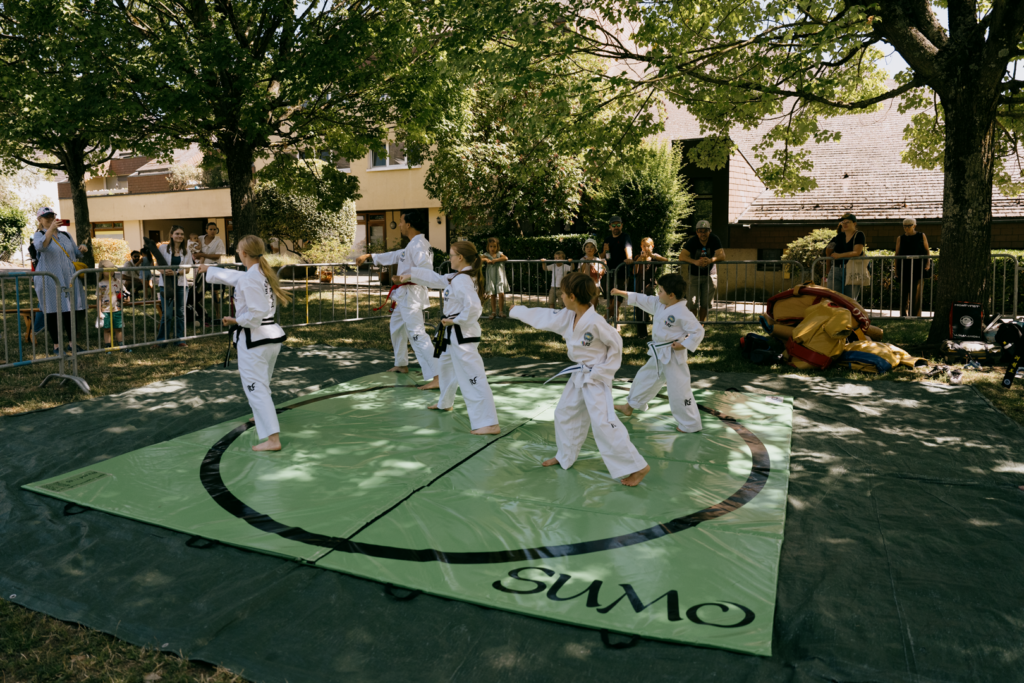 Démonstration – Puplinge Fête l&rsquo;Artisanat 2026 — photo 3